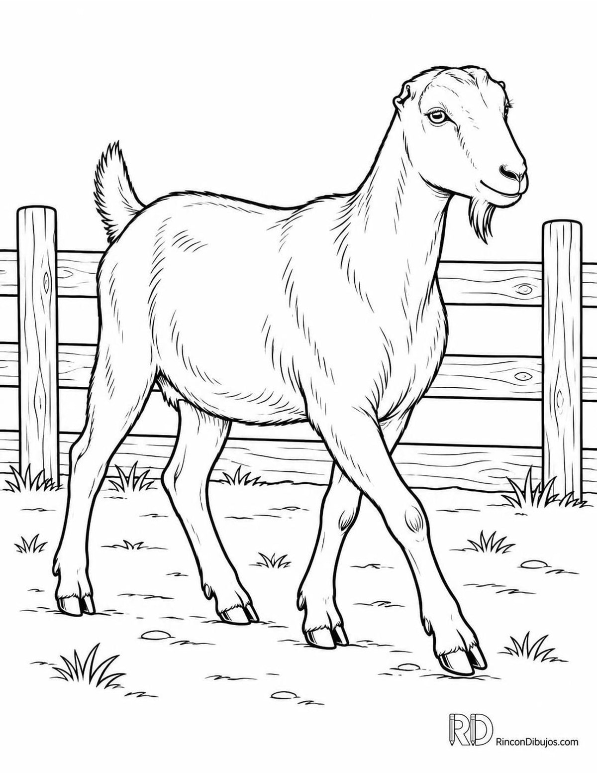 Dibujo de cabra de La Mancha para colorear Dibujo de cabra de La Mancha para colorear