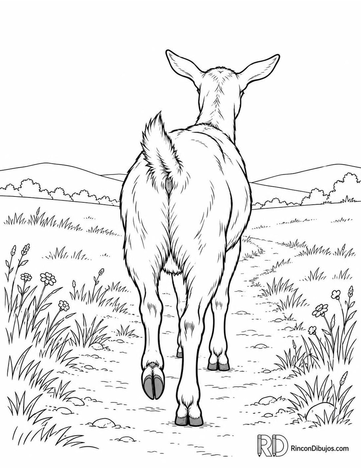 Dibujo de cabra en el campo para colorear Dibujo de cabra en el campo para colorear