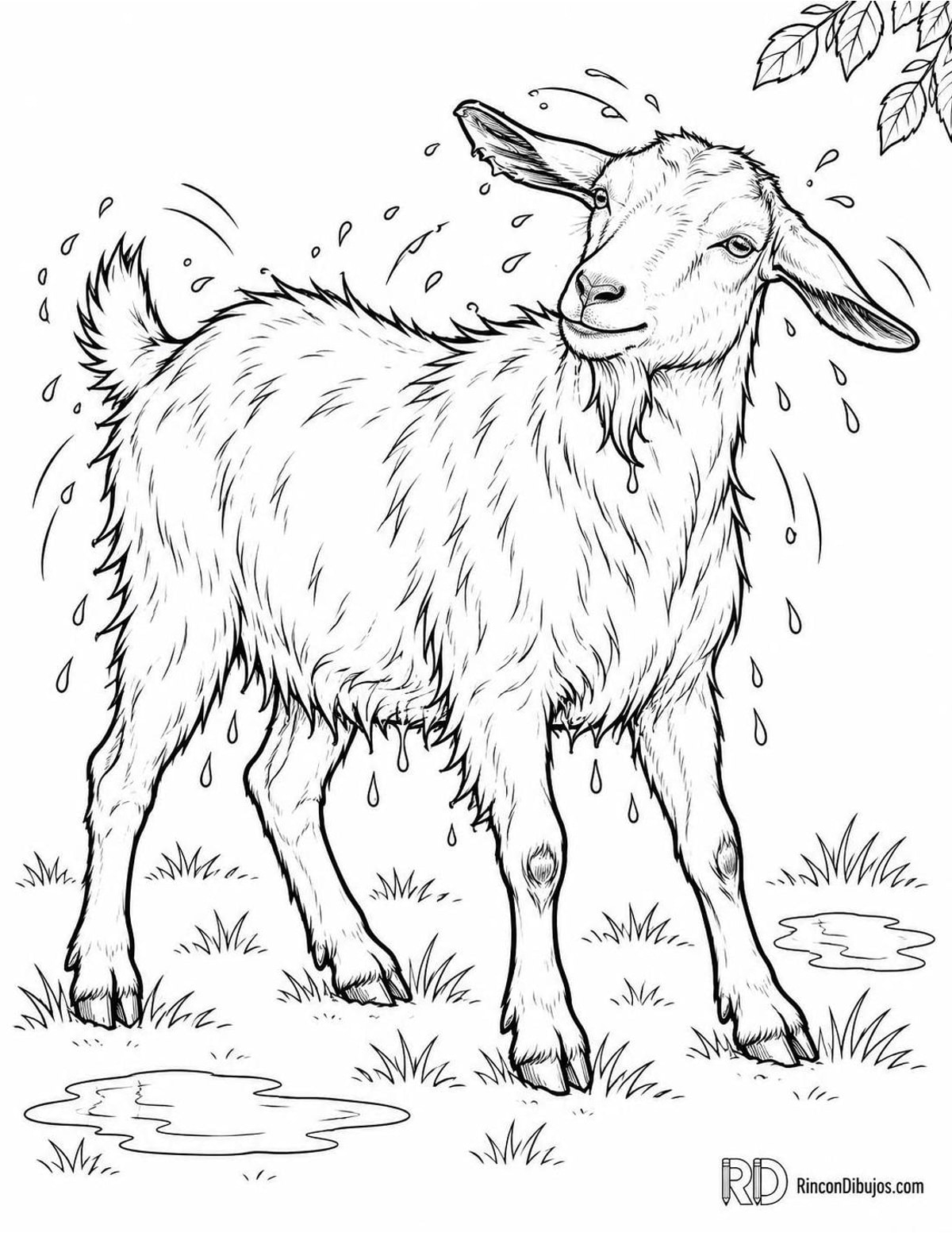 Dibujo de cabra sacudiéndose para colorear Dibujo de cabra sacudiéndose para colorear