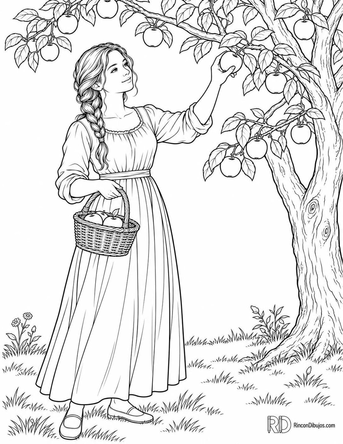 Dibujo de doncella recogiendo manzanas para colorear Dibujo de doncella recogiendo manzanas para colorear