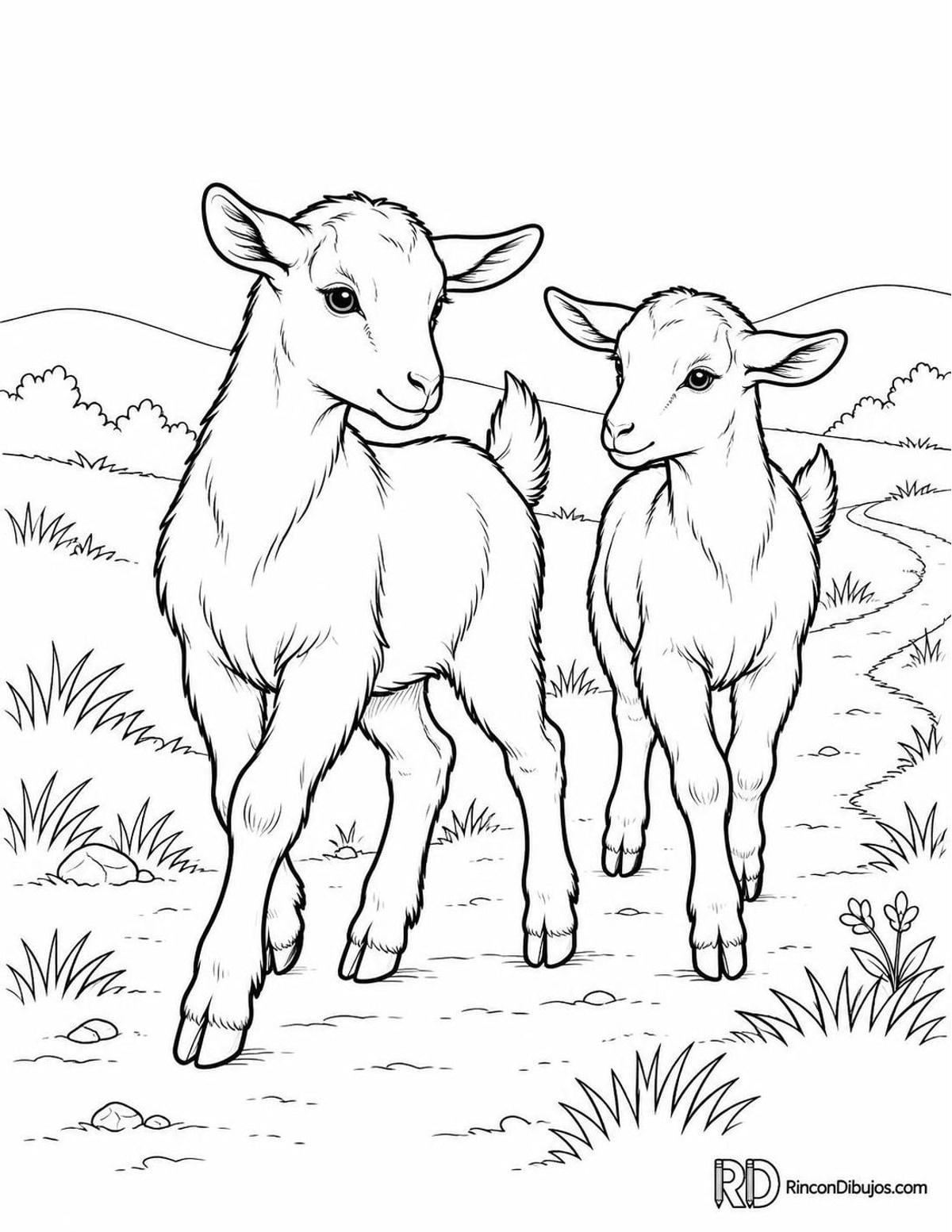 Dibujo de dos cabras jóvenes para colorear Dibujo de dos cabras jóvenes para colorear