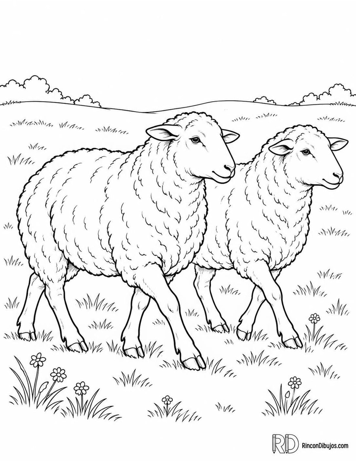 Dibujo de dos ovejas para colorear Dibujo de dos ovejas para colorear