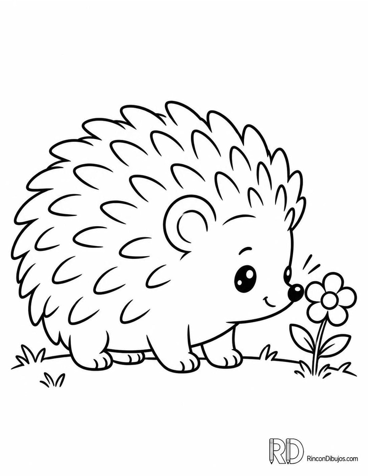 Dibujo de erizo kawaii para colorear Dibujo de erizo kawaii para colorear