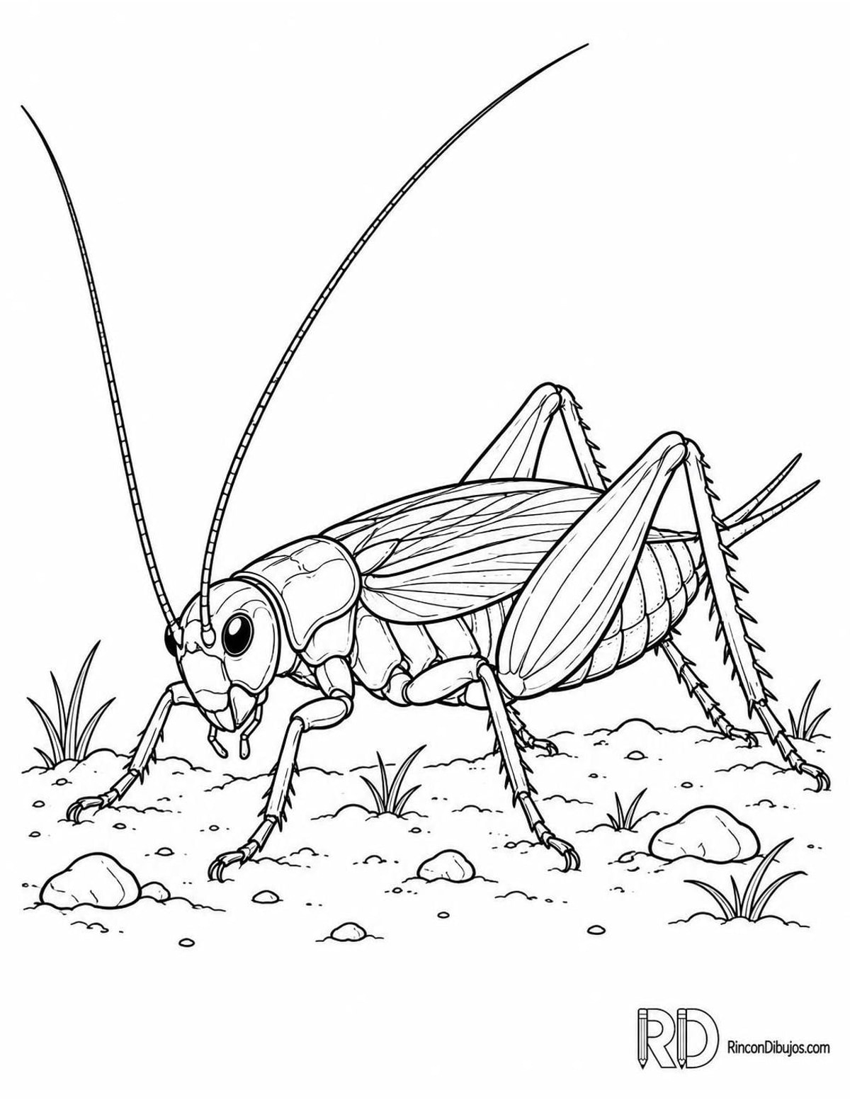 Dibujo de grillo aterrizando para colorear Dibujo de grillo aterrizando para colorear