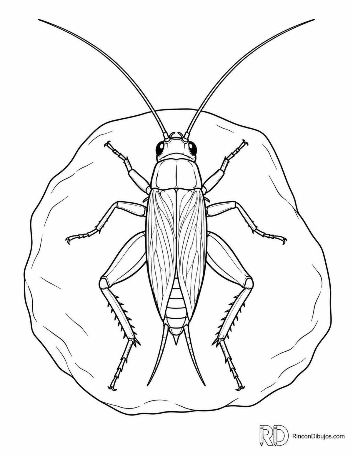 Dibujo de grillo sobre piedra para colorear Dibujo de grillo sobre piedra para colorear
