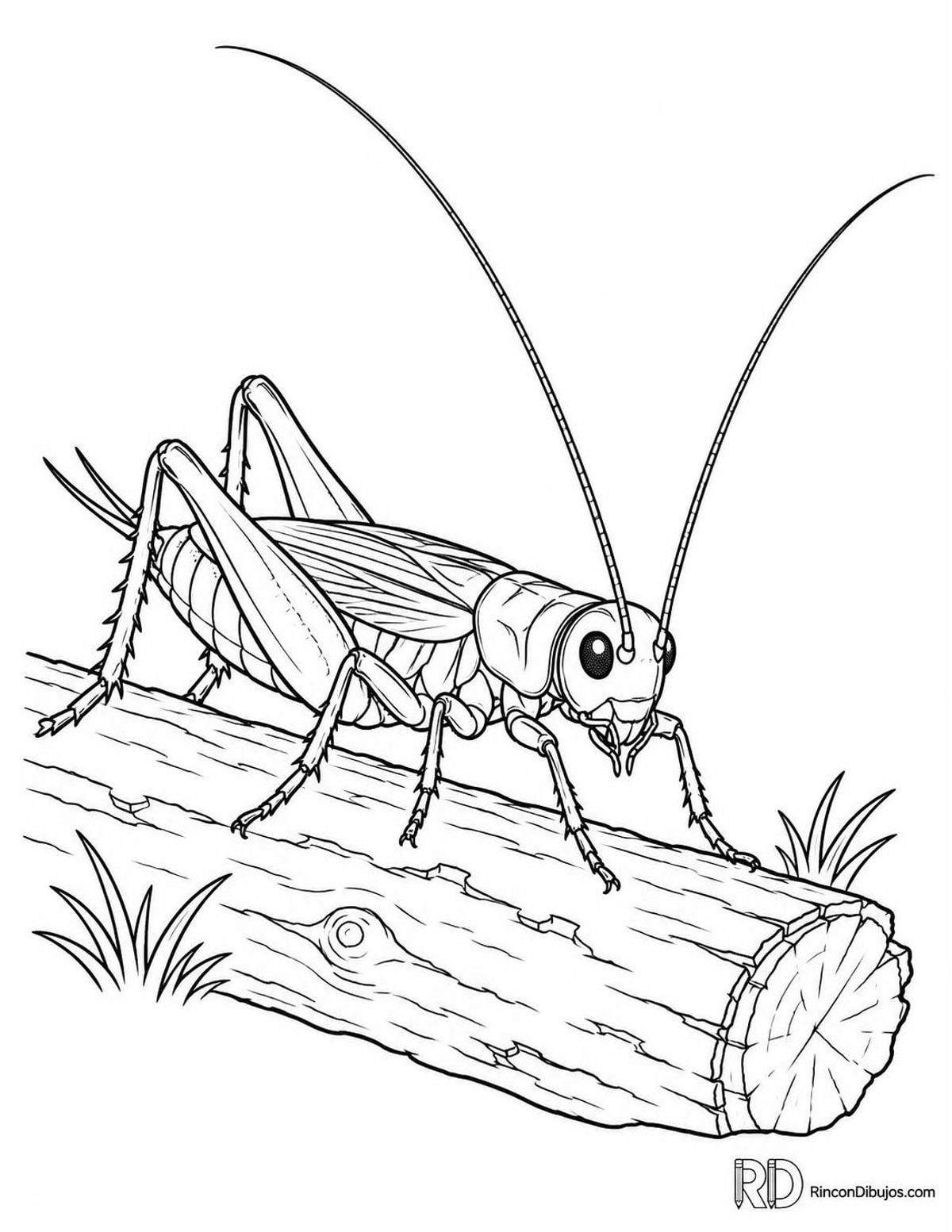 Dibujo de grillo sobre tronco para colorear Dibujo de grillo sobre tronco para colorear