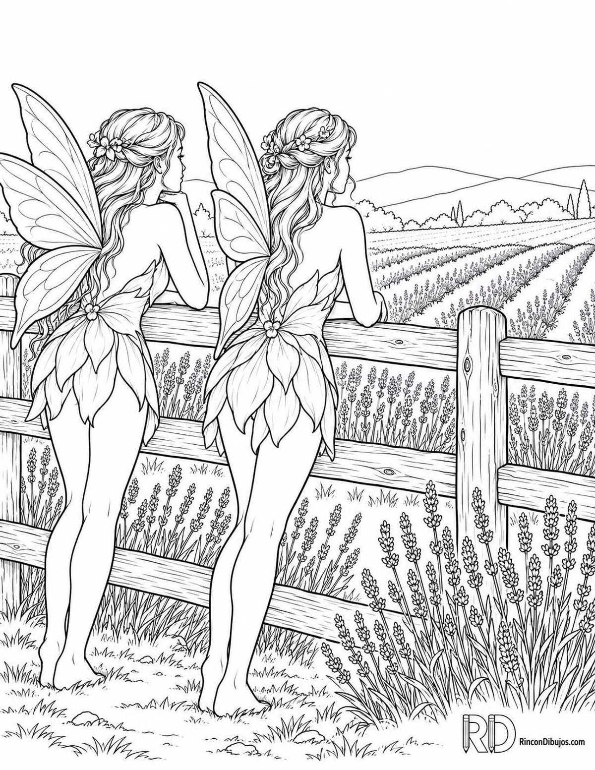 Dibujo de Hadas en campo de lavanda para colorear Dibujo de Hadas en campo de lavanda para colorear