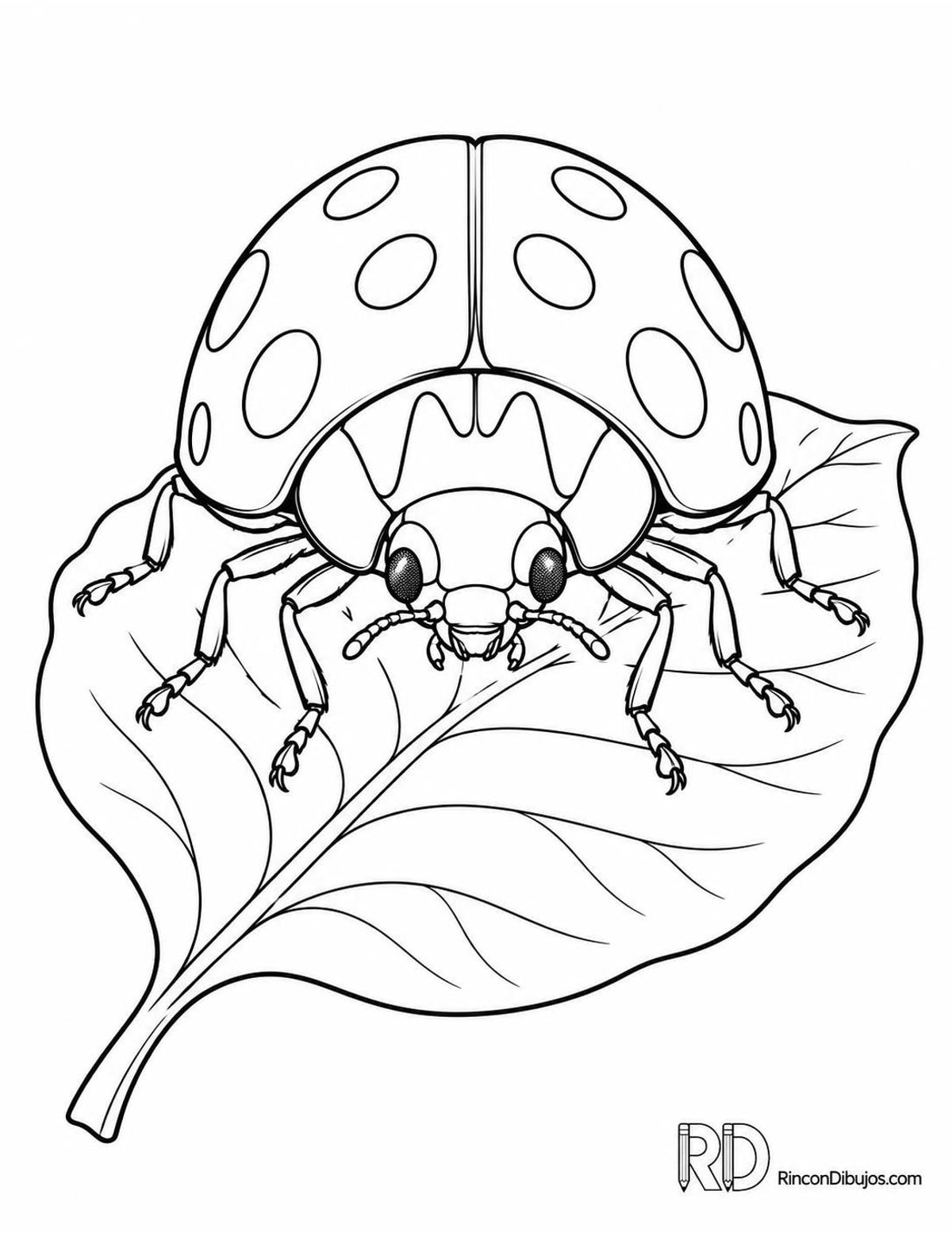 Dibujo de mariquita asiática en hoja para colorear Dibujo de mariquita asiática en hoja para colorear