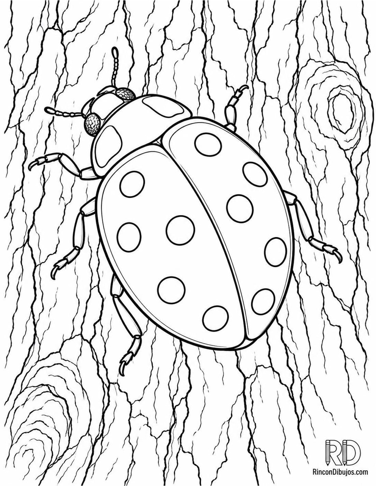 Dibujo de mariquita de diez puntos para colorear Dibujo de mariquita de diez puntos para colorear