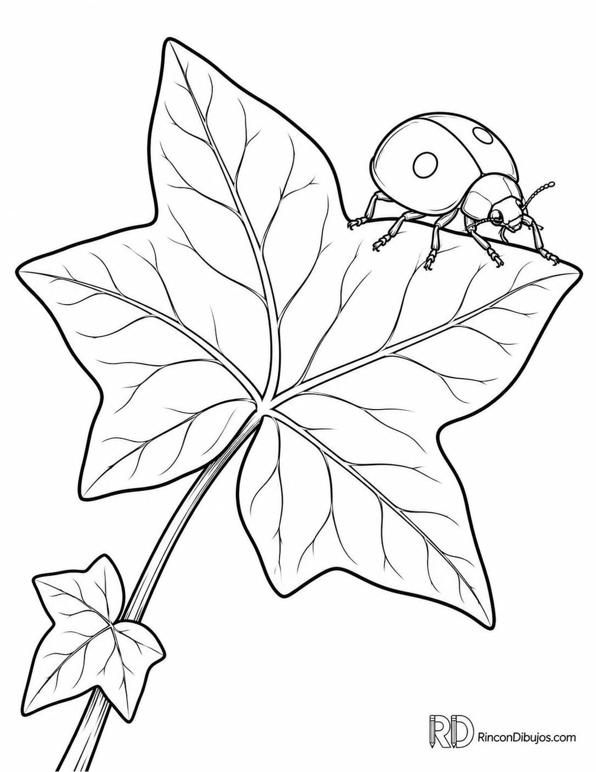 Dibujo de mariquita de dos puntos para colorear Dibujo de mariquita de dos puntos para colorear