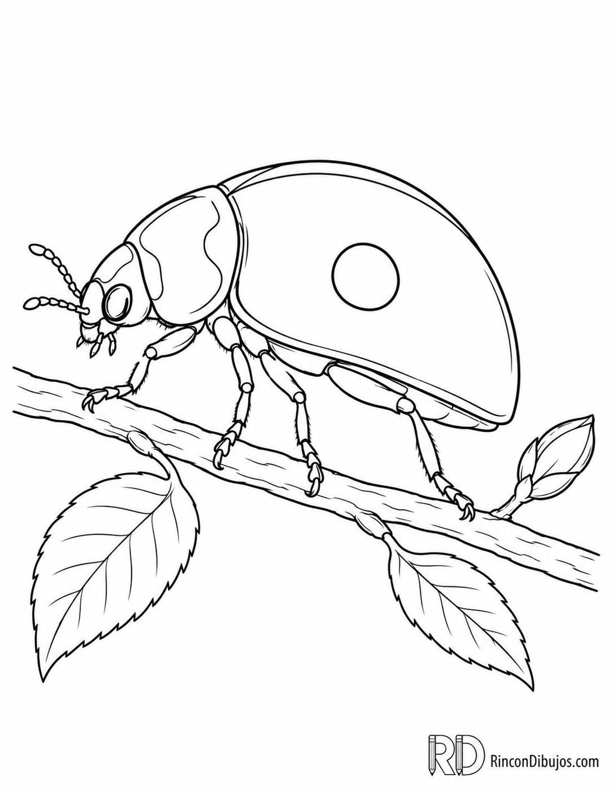 Dibujo de mariquita de dos puntos perfil para colorear Dibujo de mariquita de dos puntos perfil para colorear