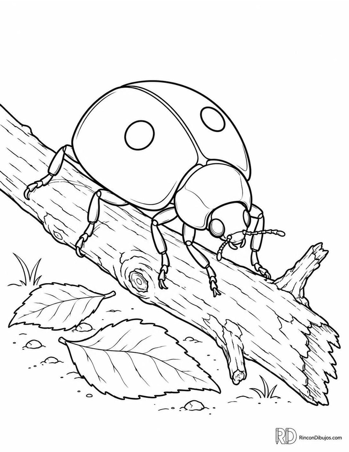 Dibujo de mariquita de dos puntos recorriendo para colorear Dibujo de mariquita de dos puntos recorriendo para colorear