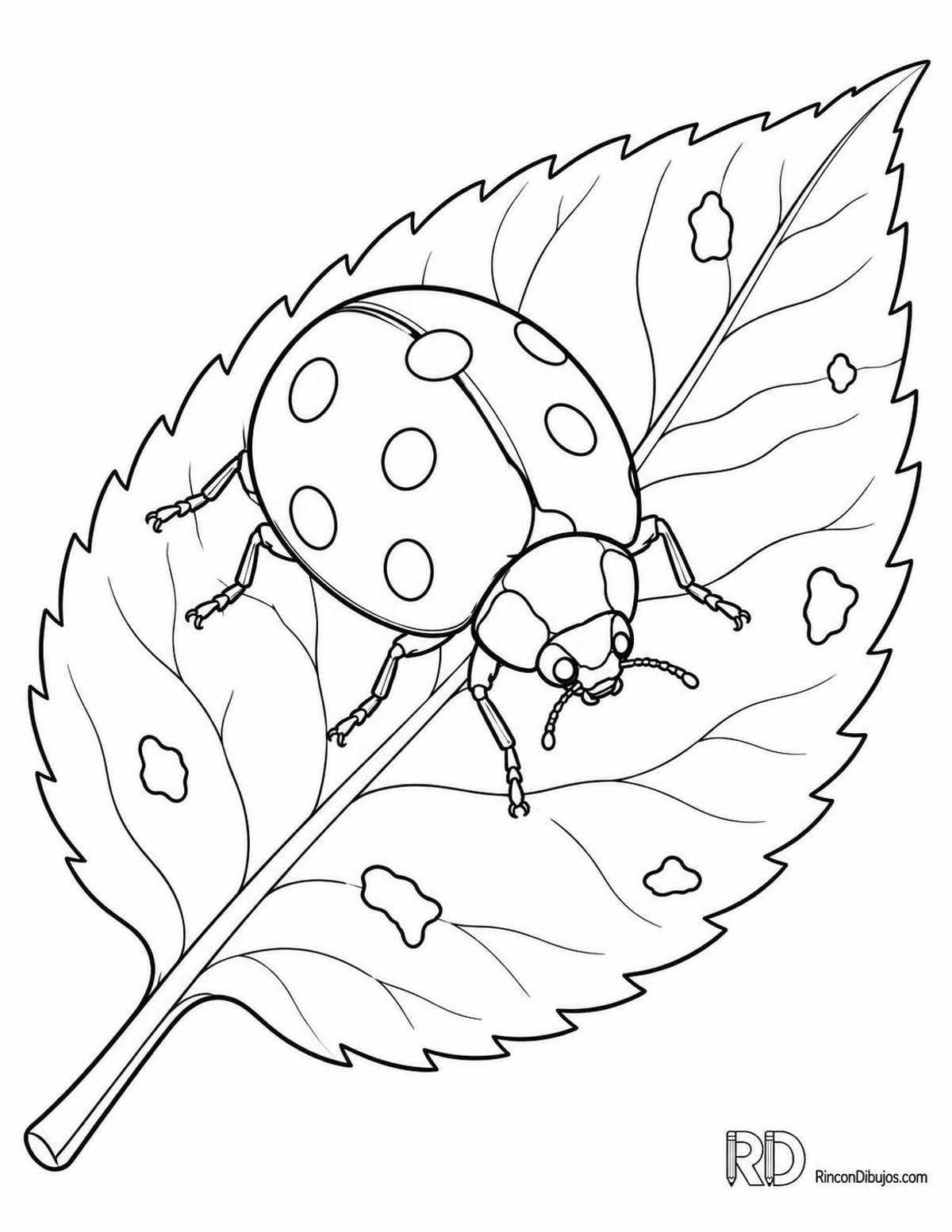 Dibujo de mariquita de siete puntos caminando para colorear Dibujo de mariquita de siete puntos caminando para colorear