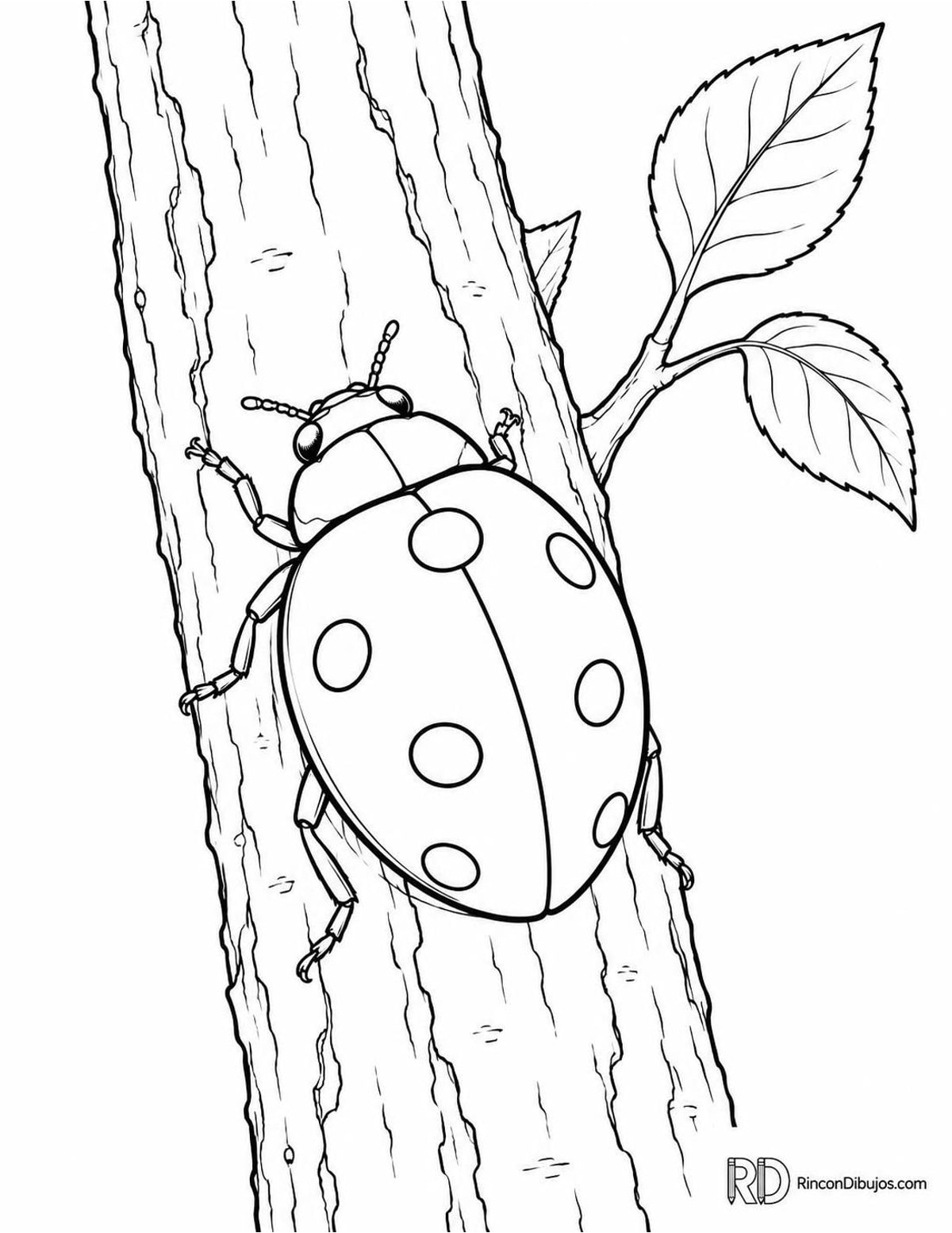 Dibujo de mariquita de siete puntos escalando para colorear Dibujo de mariquita de siete puntos escalando para colorear