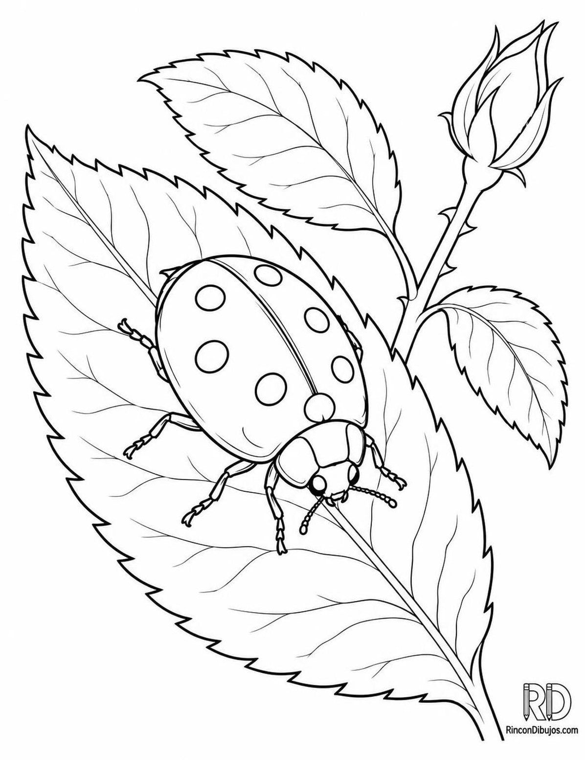 Dibujo de mariquita de siete puntos para colorear Dibujo de mariquita de siete puntos para colorear