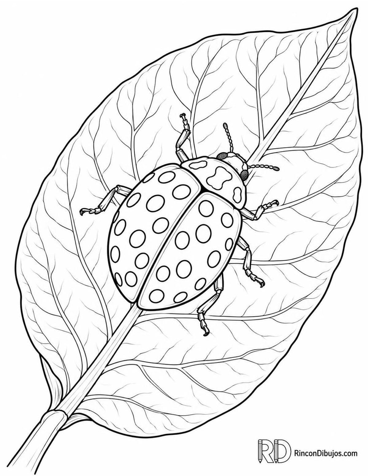 Dibujo de mariquita de veintidós puntos para colorear Dibujo de mariquita de veintidós puntos para colorear