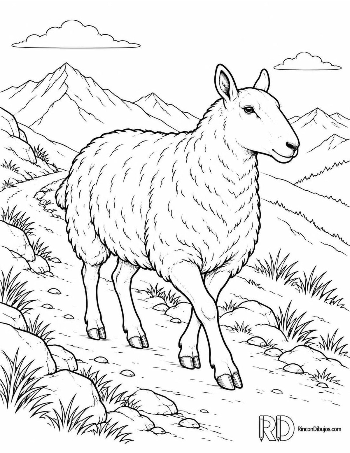 Dibujo de oveja Cheviot para colorear Dibujo de oveja Cheviot para colorear