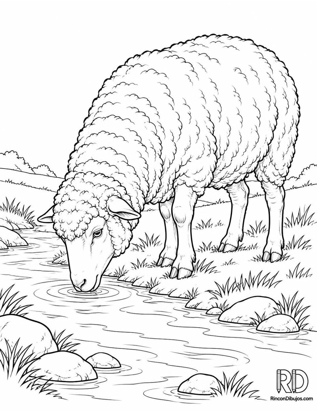 Dibujo de oveja Corriedale para colorear Dibujo de oveja Corriedale para colorear