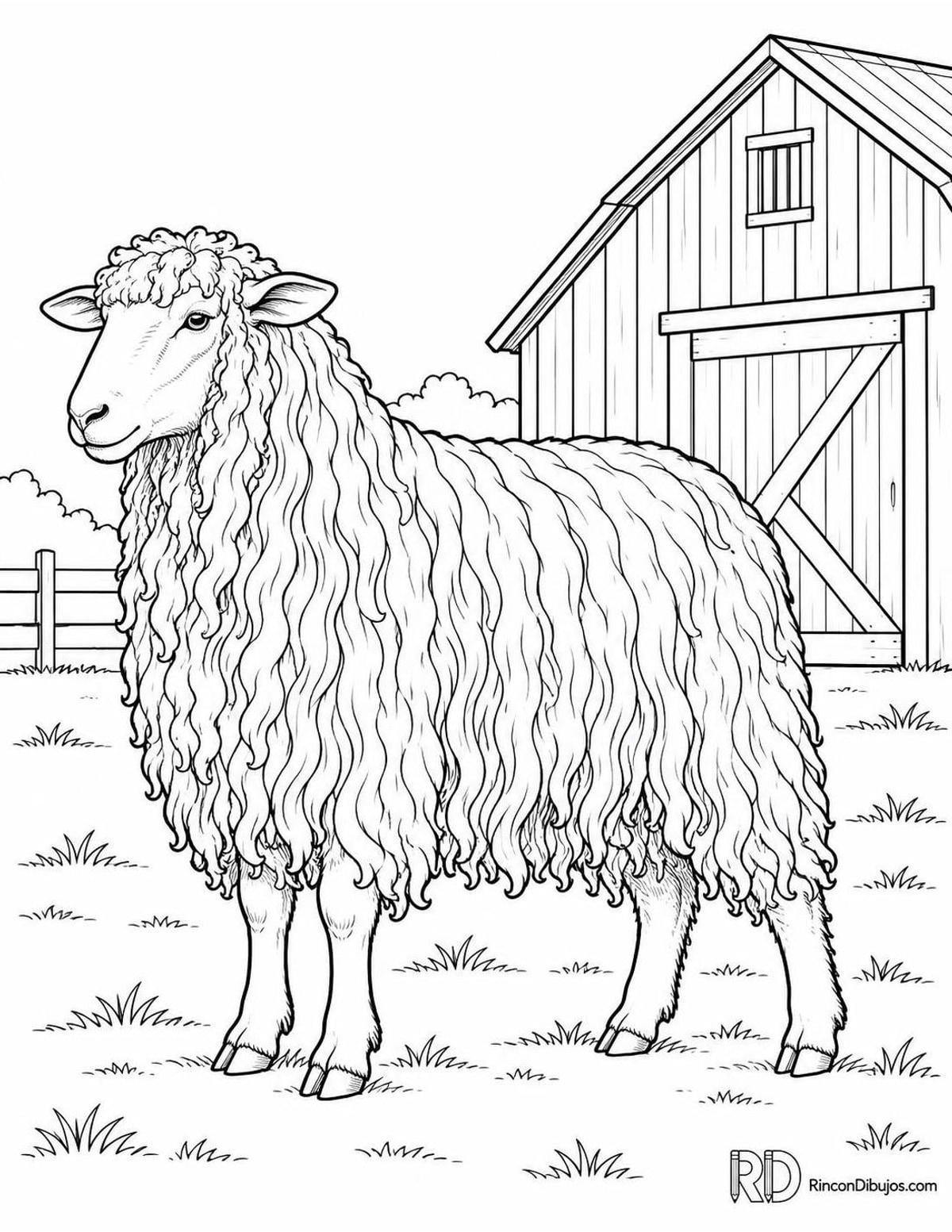 Dibujo de oveja Lincoln para colorear Dibujo de oveja Lincoln para colorear