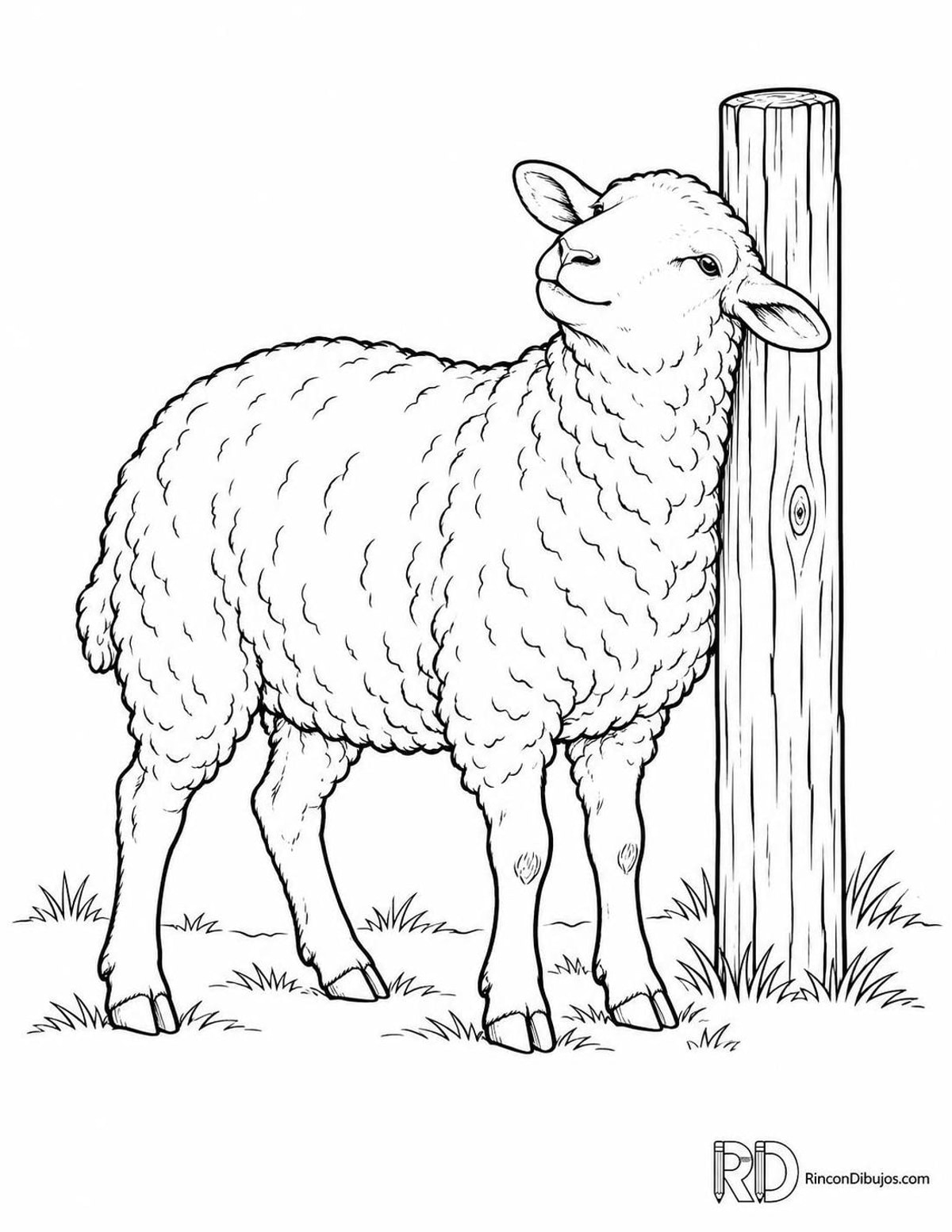 Dibujo de oveja rascándose para colorear Dibujo de oveja rascándose para colorear