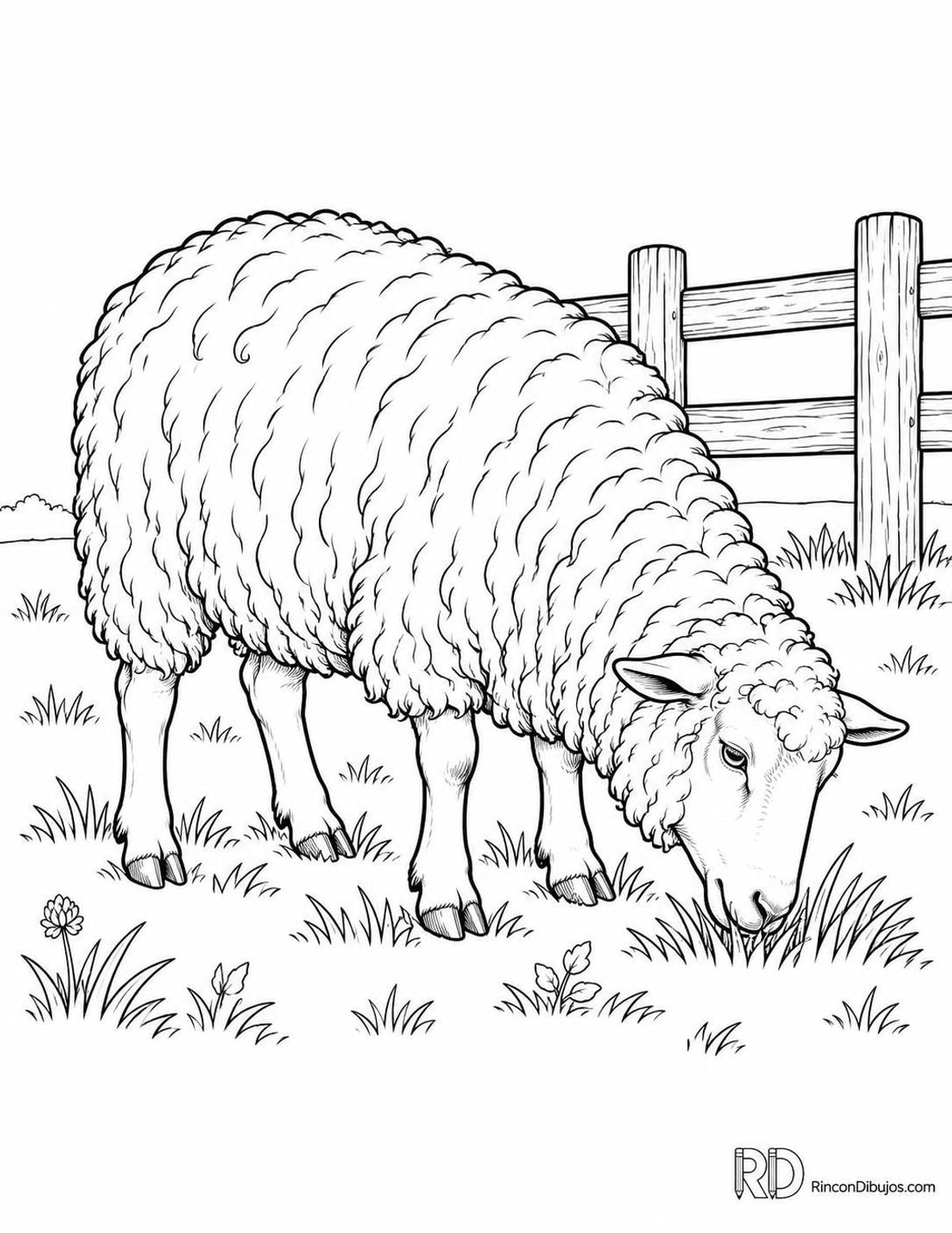Dibujo de oveja Romney para colorear Dibujo de oveja Romney para colorear