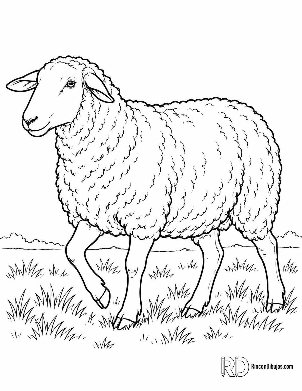 Dibujo de oveja Suffolk para colorear Dibujo de oveja Suffolk para colorear