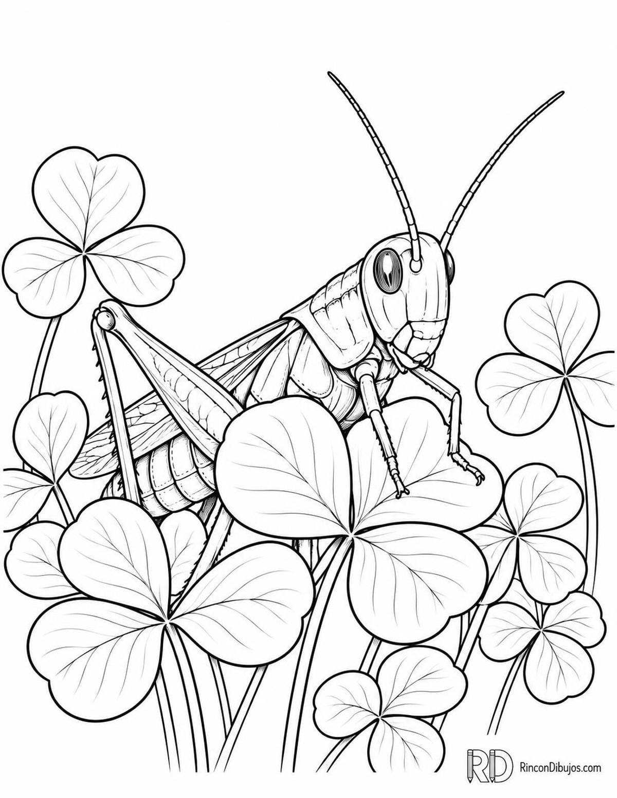 Dibujo de saltamontes entre tréboles para colorear Dibujo de saltamontes entre tréboles para colorear