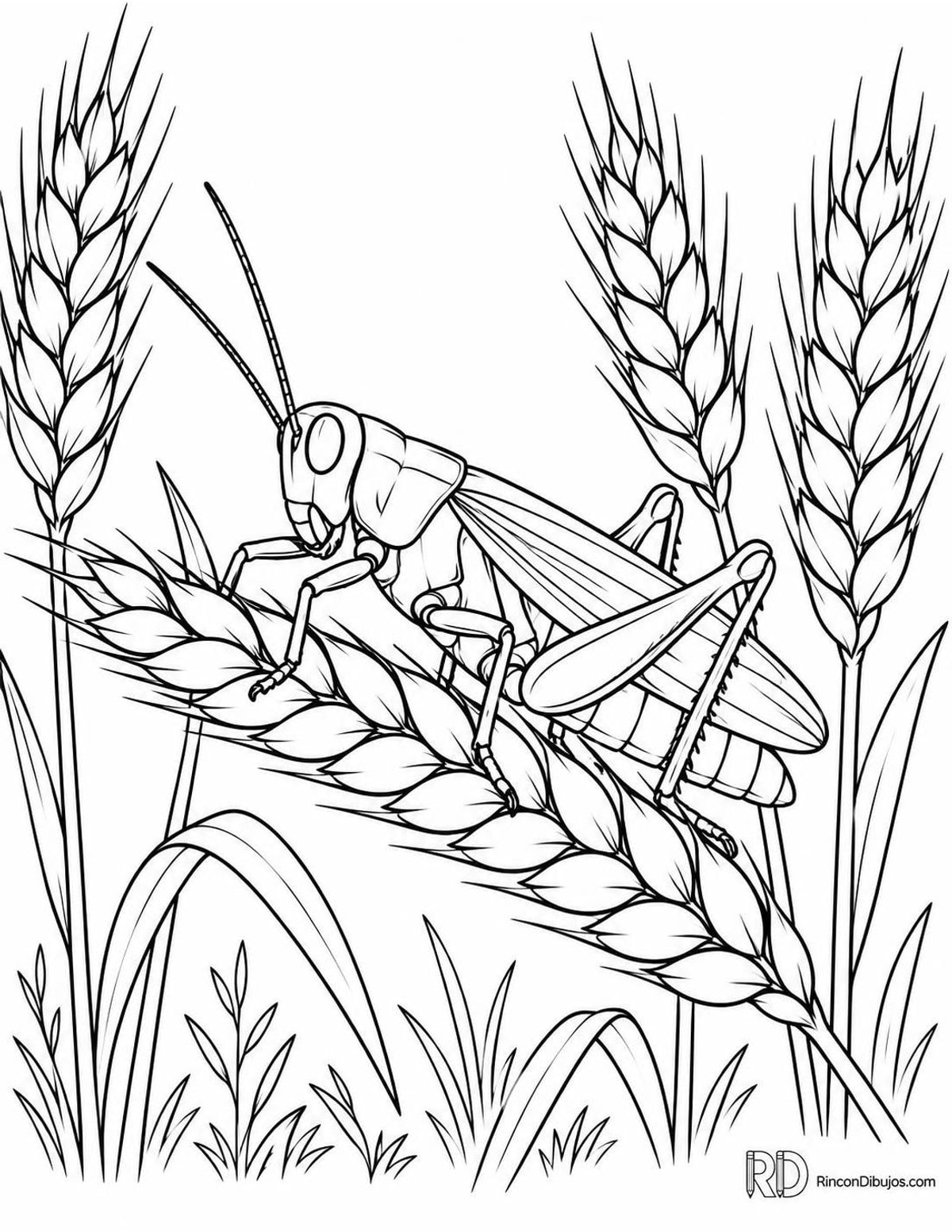 Dibujo de saltamontes entre trigo para colorear Dibujo de saltamontes entre trigo para colorear