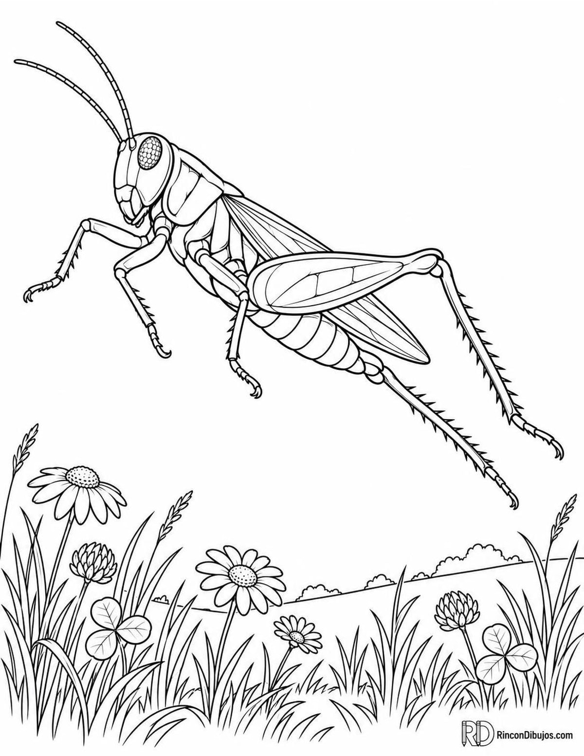 Dibujo de saltamontes saltando para colorear Dibujo de saltamontes saltando para colorear