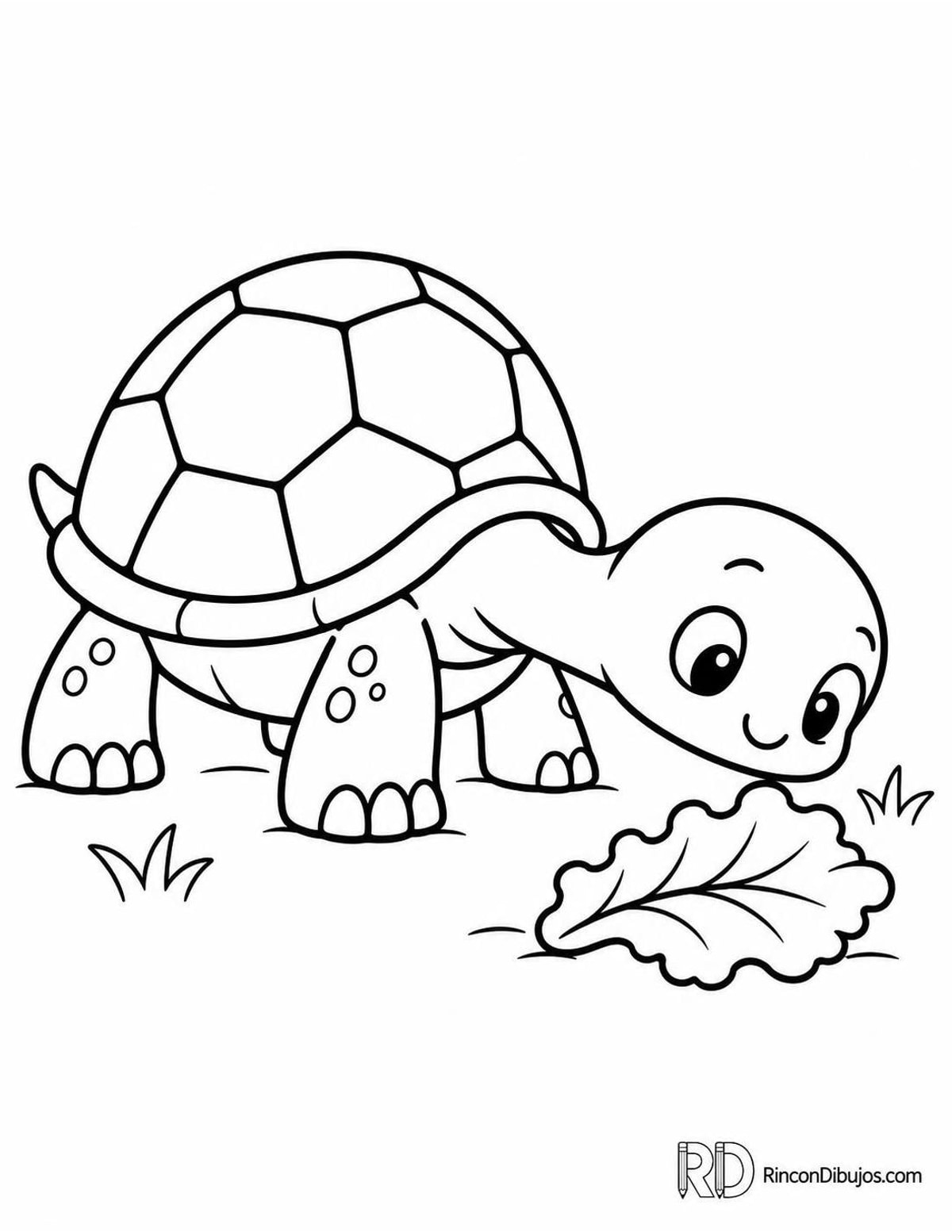 Dibujo de tortuga kawaii para colorear Dibujo de tortuga kawaii para colorear